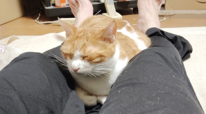 zzz